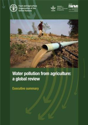 Water Pollution from Agriculture: a Global Review