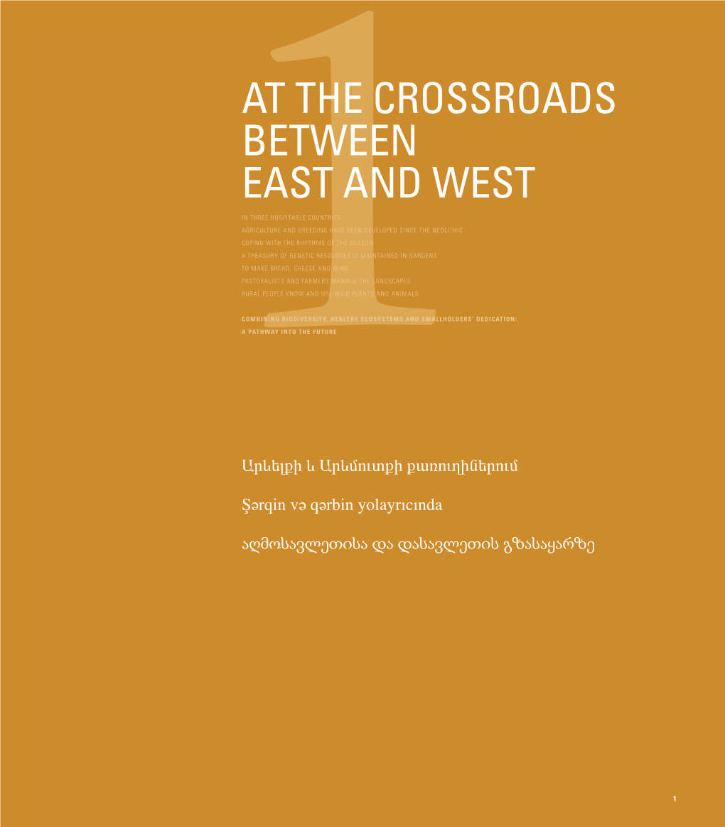 At the Crossroads Between East and West