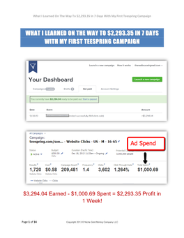 What I Learned on the Way to $2,293.35 in 7 Days with My First Teespring Campaign