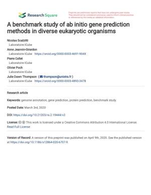A Benchmark Study of Ab Initio Gene Prediction Methods in Diverse Eukaryotic Organisms