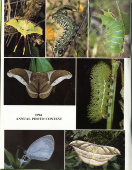 Goh, D. 1994. Life History of Trogonoptera Brookiana Albescens in Malaysia