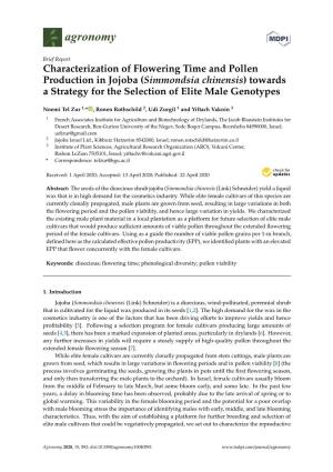 Characterization of Flowering Time and Pollen Production in Jojoba (Simmondsia Chinensis) Towards a Strategy for the Selection of Elite Male Genotypes