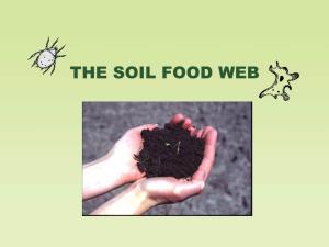 Soil Biology and the Landscape the Soil Food Web Components of Soil Organic Matter