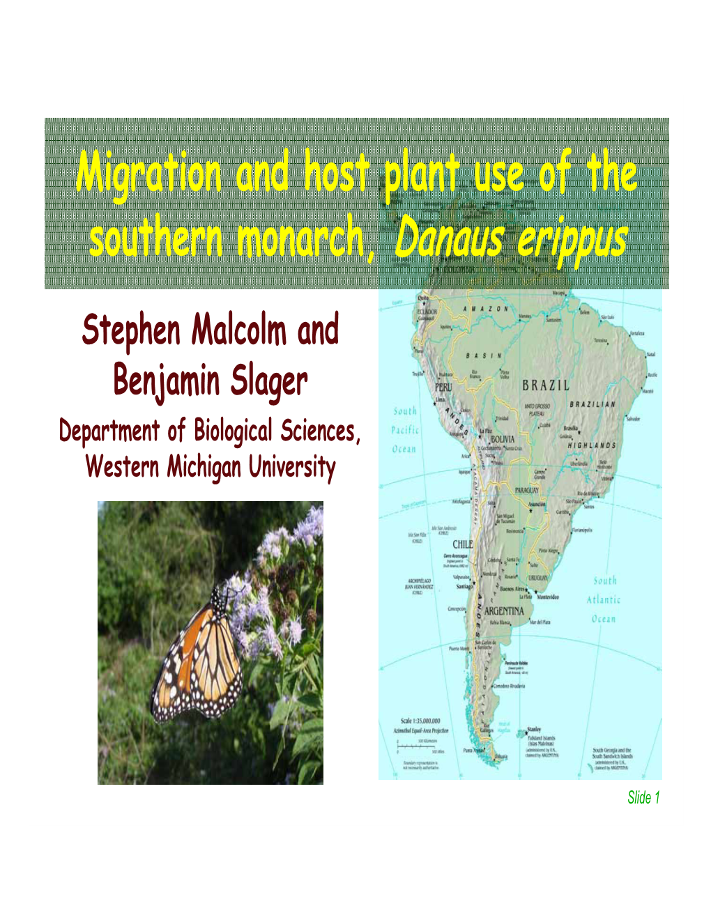 Migration and Host Plant Use of the Southern Monarch, Danaus Erippus