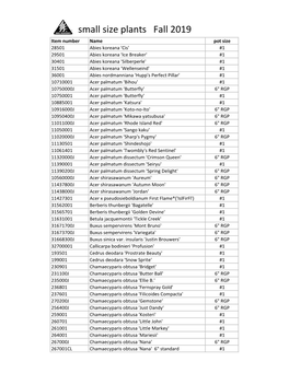 Small Size Plants Fall 2019