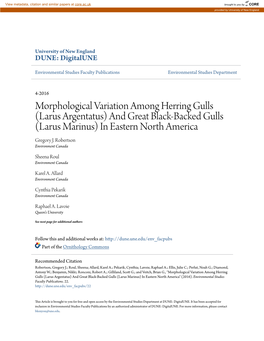 Morphological Variation Among Herring Gulls (Larus Argentatus) and Great Black-Backed Gulls (Larus Marinus) in Eastern North America Gregory J