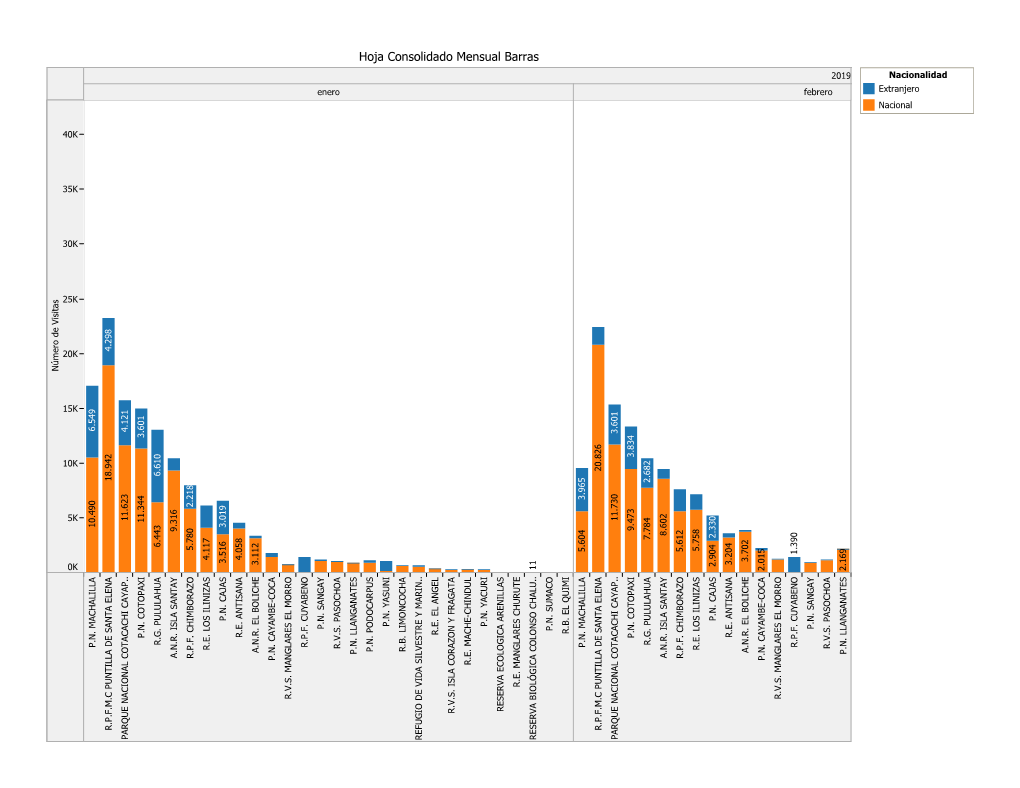 Hoja Consolidado Mensual Barras 2019 Nacionalidad Enero Febrero Extranjero Nacional
