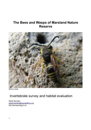 The Bees and Wasps of Marsland Nature Reserve