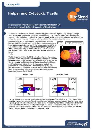 Download Helper and Cytotoxic T Cells.Pdf