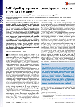 BMP Signaling Requires Retromer-Dependent Recycling of the Type I Receptor