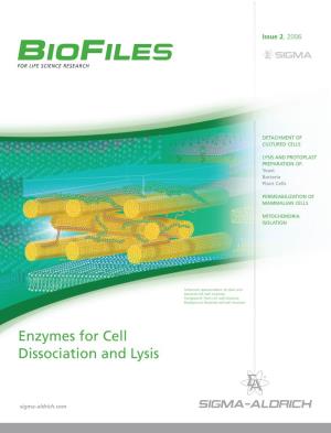 Enzymes for Cell Dissociation and Lysis