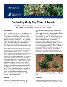 Controlling Curly Top Virus of Tomato