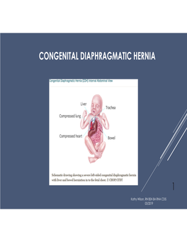 Congenital Diaphragmatic Hernia 1
