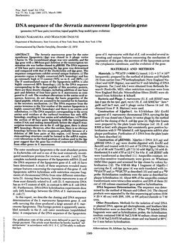 DNA Sequence of the Serratia Marcescens Lipoprotein Gene