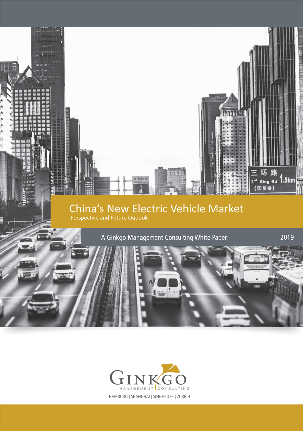 China's New Electric Vehicle Market