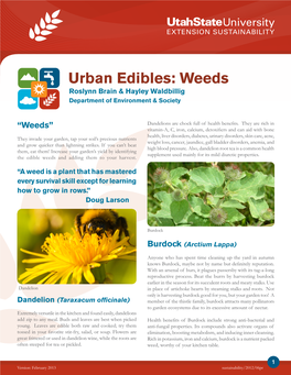 Urban Edibles: Weeds Roslynn Brain & Hayley Waldbillig Department of Environment & Society