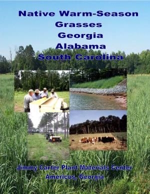 Native Grasses for GA, Al & SC Revision