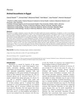 Review Animal Brucellosis in Egypt