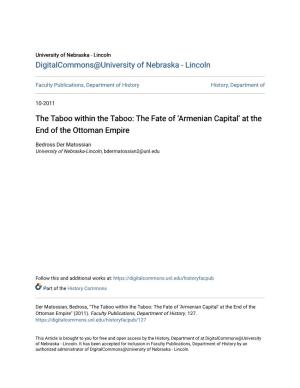 The Fate of Â•Ÿarmenian Capitalâ•Ž at the End of the Ottoman Empire