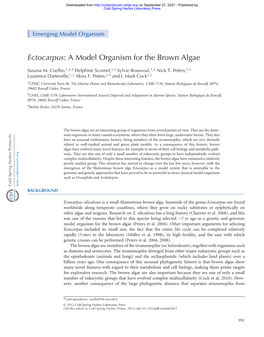 Ectocarpus: a Model Organism for the Brown Algae