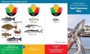 Guide to Eating Fish and Shellfish From