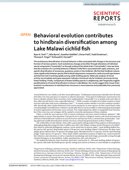 Behavioral Evolution Contributes to Hindbrain Diversification Among Lake Malawi Cichlid Fish
