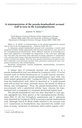 A Reinterpretation of the Pseudo-Bombardioid Ascomal Wall in Taxa in the Lasiosphaeriaceae