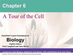 Chapter 6 a Tour of the Cell