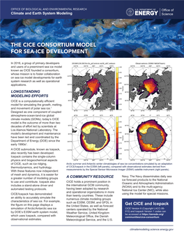 The Cice Consortium Model for Sea-Ice Development