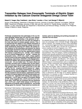 Transmitter Release from Presynaptic Terminals of Electric Organ: Inhibition by the Calcium Channel Antagonist Omega Conus Toxin