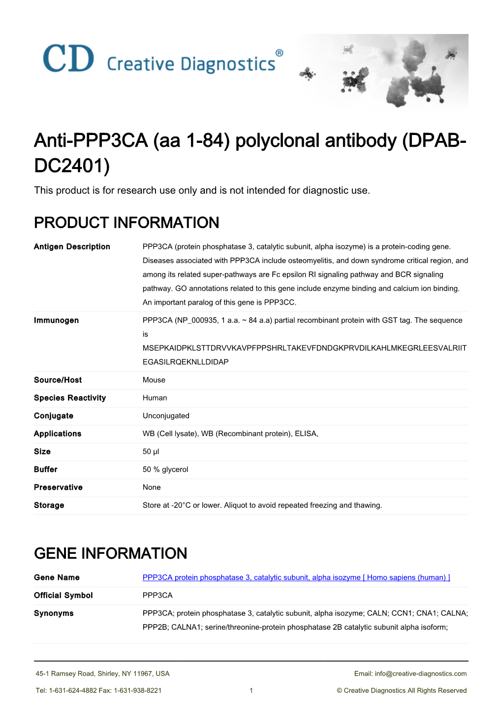 Anti-PPP3CA (Aa 1-84) Polyclonal Antibody (DPAB- DC2401) This Product Is for Research Use Only and Is Not Intended for Diagnostic Use