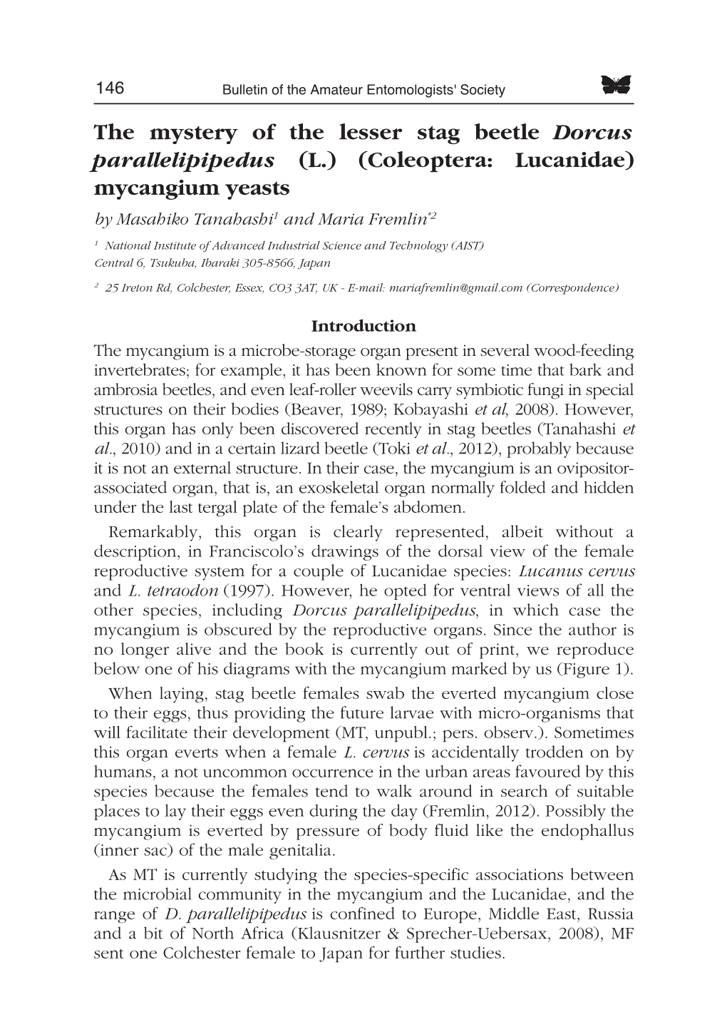 The Mystery of the Lesser Stag Beetle Dorcus Parallelipipedus (L.) (Coleoptera: Lucanidae) Mycangium Yeasts by Masahiko Tanahashi 1 and Maria Fremlin *2