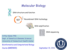 Cloning, DNA Amplification.Pdf