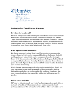 Understanding Patent Ductus Arteriosus