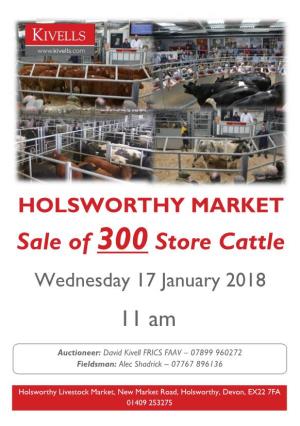 HOLSWORTHY MARKET Sale of 300 Store Cattle
