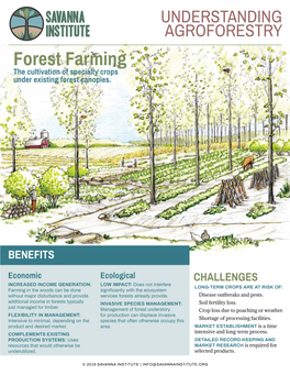 Forest Farming the Cultivation of Specialty Crops Under Existing Forest Canopies