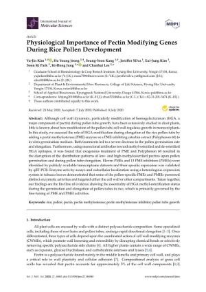 Physiological Importance of Pectin Modifying Genes During Rice Pollen Development