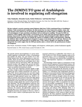 The DIMINUTO Gene of Arabidopsis Is Involved in Regulating Cell Elongation