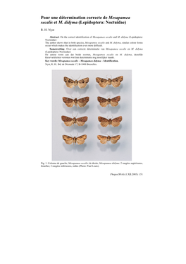 Pour Une Détermination Correcte De Mesapamea Secalis Et M. Didyma (Lepidoptera: Noctuidae)