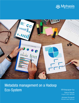Metadata Management on a Hadoop Eco-System