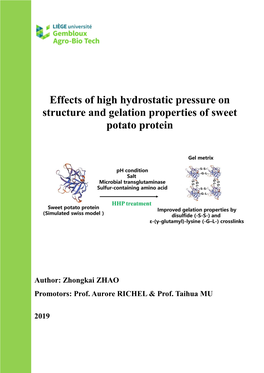 Effects of High Hydrostatic Pressure on Structure and Gelation Properties of Sweet Potato Protein