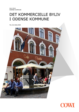 Det Kommercielle Byliv I Odense Kommune