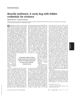 Brucella Melitensis: a Nasty Bug with Hidden Credentials for Virulence