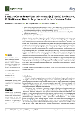 Bambara Groundnut (Vigna Subterranea [L.] Verdc.) Production, Utilisation and Genetic Improvement in Sub-Saharan Africa