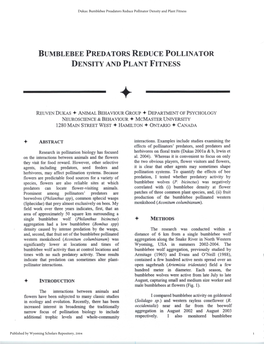 Bumblebee Predators Reduce Pollinator Density and Plant Fitness +