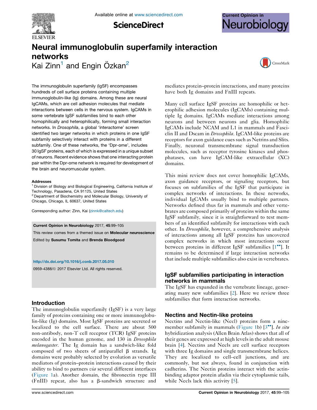 Neural Immunoglobulin Superfamily Interaction Networks