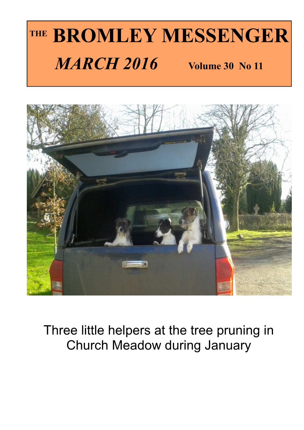 The Bromley Messenger March 2016