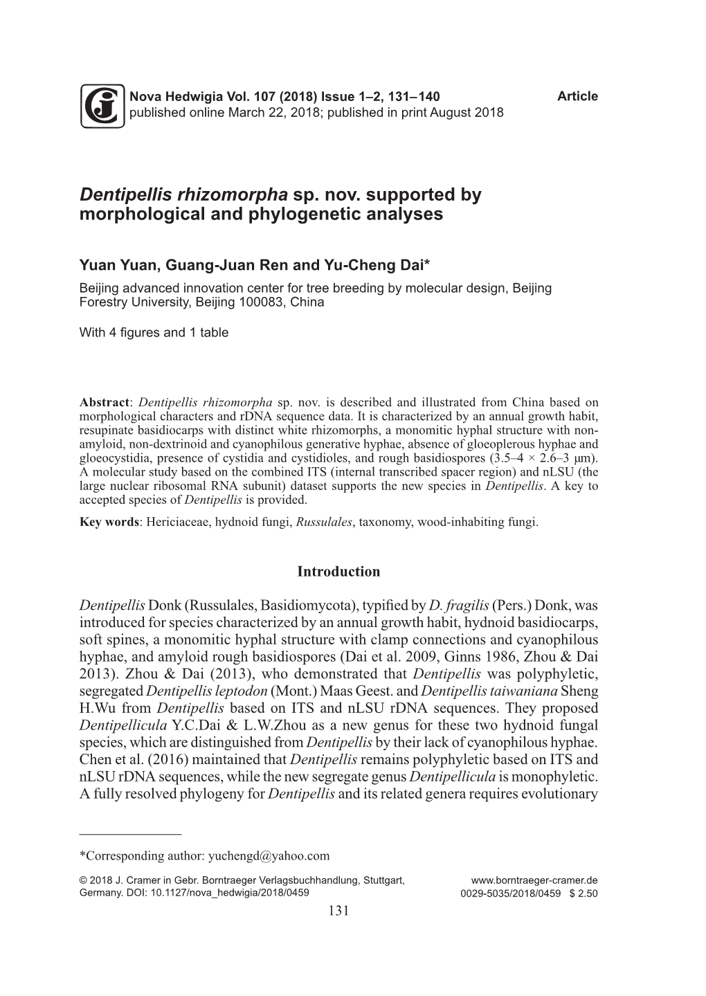 Dentipellis Rhizomorpha Sp. Nov. Supported by Morphological and Phylogenetic Analyses