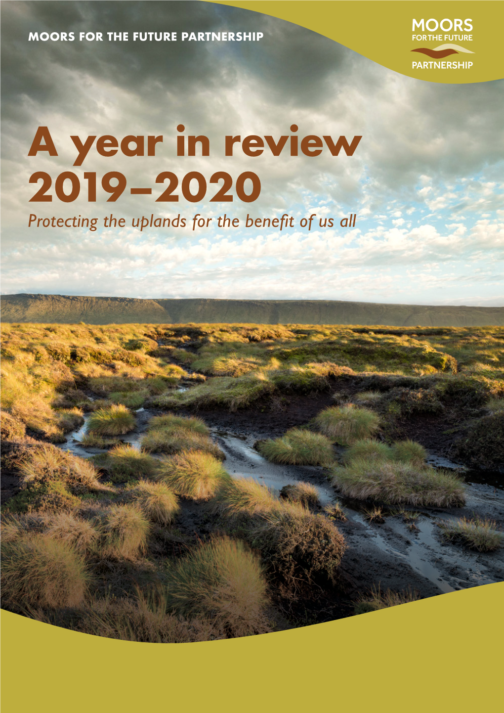 A Year in Review 2019–2020