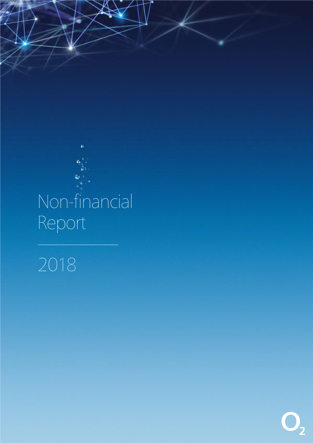 Non-Financial Report 2018 2 Other Countries